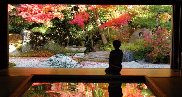 寿福寺的“颠倒红叶”